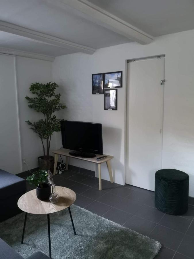 Spacious Cellar Apartment Hvidovre Exterior foto